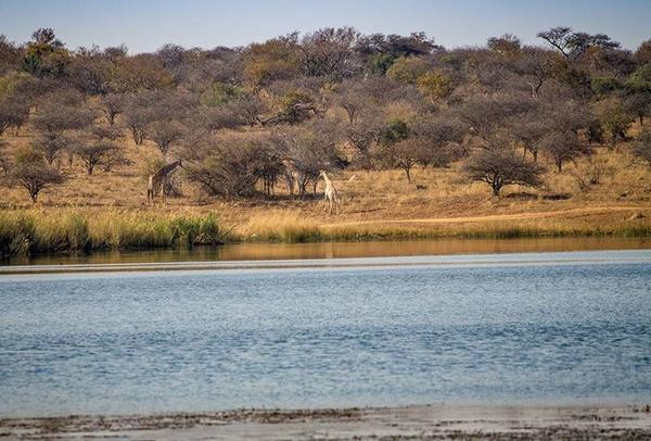 Ritsako Game Lodge Klipdrift المظهر الخارجي الصورة